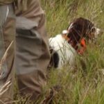 cropped-IMG_0841-300x300